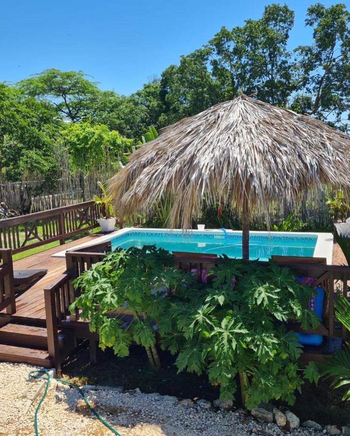 Azteca Villas トレジャー・ビーチ エクステリア 写真